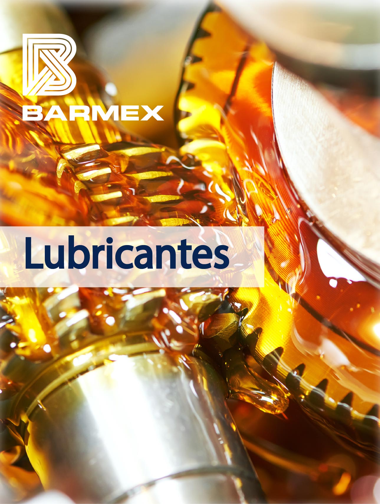 Cadenas Portacable
